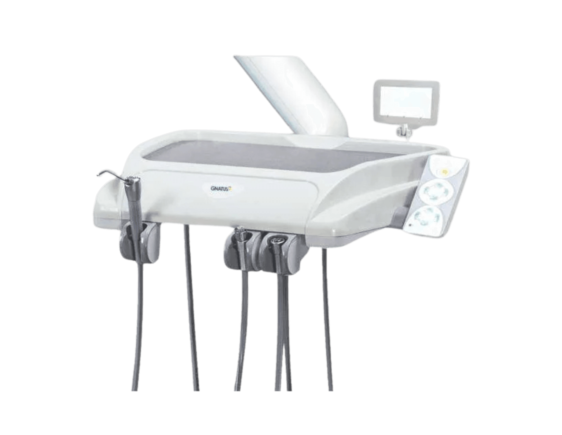 TRADITIONAL DELIVERY UNIT